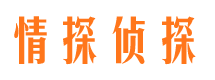 东平市侦探公司